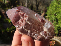 Natural Red Hematoid Quartz Specimens x 24 From Karoi, Zimbabwe