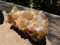 Natural Golden Limonite Quartz Clusters  x 12 From Zimbabwe - TopRock