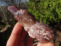 Natural Red Hematoid Quartz Specimens x 24 From Karoi, Zimbabwe