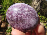 Polished Small Purple Lepidolite Palm Stones  x 12 From Ambatondrazaka, Madagascar - Toprock Gemstones and Minerals 