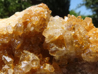 Natural Golden Limonite Quartz Clusters  x 12 From Zimbabwe - TopRock