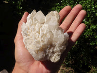 Natural Cascading Candle Quartz Clusters  x 6 From Madagascar - Toprock Gemstones and Minerals 