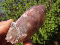 Natural Red Hematoid Quartz Specimens x 24 From Karoi, Zimbabwe