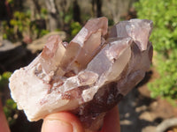 Natural Red Hematoid Quartz Specimens x 24 From Karoi, Zimbabwe