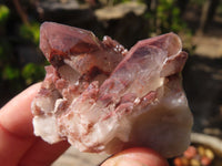 Natural Red Hematoid Quartz Specimens x 24 From Karoi, Zimbabwe