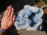 Natural Blue Celestite Geode Specimen  x 1 From Sakoany, Madagascar