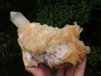 Natural Gorgeous Selection Of Quartz Specimens  x 3 From Madagascar - TopRock