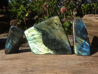 Polished Flashy Labradorite Standing Free Forms  x 3 From Tulear, Madagascar - Toprock Gemstones and Minerals 