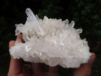 Natural Gorgeous Selection Of Quartz Specimens  x 3 From Madagascar - TopRock