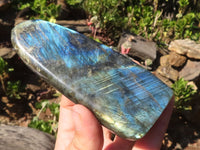 Polished Flashy Labradorite Standing Free Forms  x 3 From Tulear, Madagascar - Toprock Gemstones and Minerals 