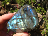 Polished Flashy Labradorite Standing Free Forms  x 3 From Tulear, Madagascar - Toprock Gemstones and Minerals 