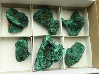 Natural Chatoyant Silky Malachite Specimens  x 6 From Kasompe, Congo - TopRock