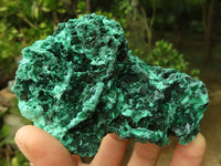 Natural Chatoyant Silky Malachite Specimens  x 6 From Kasompe, Congo - TopRock