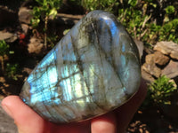 Polished Flashy Labradorite Standing Free Forms  x 3 From Tulear, Madagascar - Toprock Gemstones and Minerals 