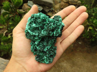 Natural Chatoyant Silky Malachite Specimens  x 6 From Kasompe, Congo - TopRock