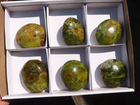 Polished Green Opal Palm Stones  x 6 From Antsirabe, Madagascar - Toprock Gemstones and Minerals 