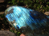 Polished Flashy Labradorite Standing Free Forms  x 3 From Tulear, Madagascar - Toprock Gemstones and Minerals 