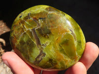 Polished Green Opal Palm Stones  x 6 From Antsirabe, Madagascar - Toprock Gemstones and Minerals 