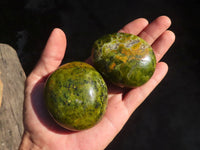 Polished Green Opal Palm Stones  x 6 From Antsirabe, Madagascar - Toprock Gemstones and Minerals 