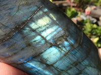 Polished Flashy Labradorite Standing Free Forms  x 3 From Tulear, Madagascar - Toprock Gemstones and Minerals 