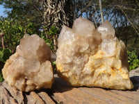 Natural White Phantom Smokey Quartz Clusters  x 2 From Luena, Congo - Toprock Gemstones and Minerals 