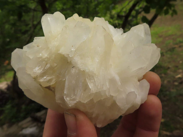 Natural Mixed Quartz Clusters  x 6 From Madagascar - TopRock