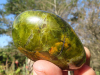 Polished Green Opal Palm Stones  x 6 From Antsirabe, Madagascar - Toprock Gemstones and Minerals 