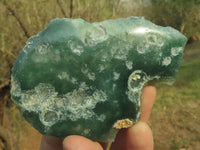 Polished Green Mtorolite Emerald Chrysoprase Plates  x 12 From Mutorashanga, Zimbabwe - TopRock