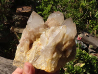 Natural White Phantom Smokey Quartz Clusters  x 2 From Luena, Congo - Toprock Gemstones and Minerals 