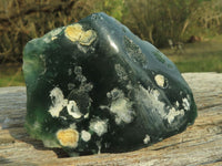 Polished Green Mtorolite Emerald Chrysoprase Plates  x 12 From Mutorashanga, Zimbabwe - TopRock