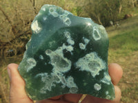 Polished Green Mtorolite Emerald Chrysoprase Plates  x 12 From Mutorashanga, Zimbabwe - TopRock