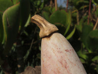 Polished Marble Butternut Carvings x 2 From Zimbabwe - TopRock