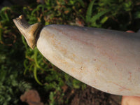 Polished Marble Butternut Carvings x 2 From Zimbabwe - TopRock