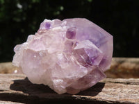 Natural Mixed Selection Of Mini Spirit Quartz Clusters  x 35 From Boekenhouthoek, South Africa - TopRock