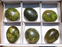 Polished Extra Large Green Opal Palm Stones  x 6 From Madagascar - TopRock