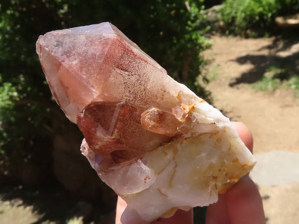 Natural Red Hematoid Quartz Clusters  x 6 From Karoi, Zimbabwe - TopRock