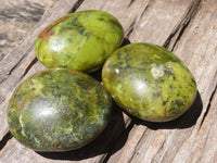 Polished Extra Large Green Opal Palm Stones  x 6 From Madagascar - TopRock