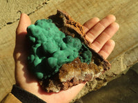 Natural Rare Ball Malachite On Drusy Quartz & Dolomite Specimens x 2 From Kambove, Congo