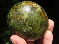 Polished Extra Large Green Opal Palm Stones  x 6 From Madagascar - TopRock