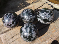 Polished Merlinite Gabbro Spheres  x 4 From Ambatondrazaka, Madagascar