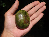 Polished Extra Large Green Opal Palm Stones  x 6 From Madagascar - TopRock