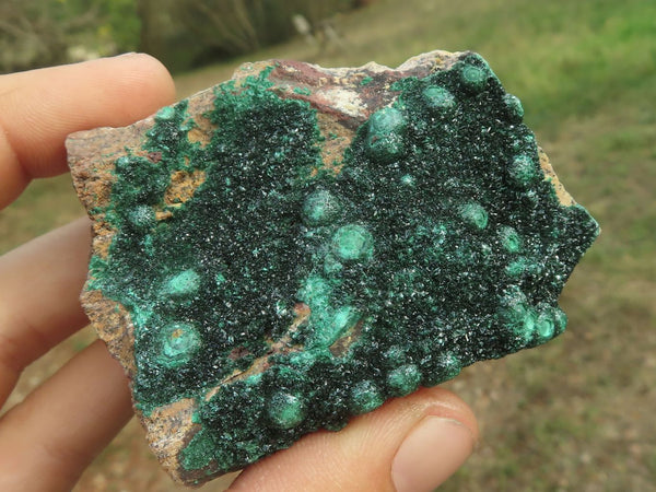 Natural Micro Botryoidal Malachite Specimens  x 5 From Tenke Fungurume, Congo - TopRock