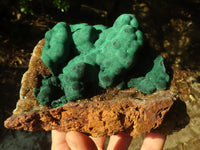 Natural Rare Ball Malachite On Drusy Quartz & Dolomite Specimens x 2 From Kambove, Congo