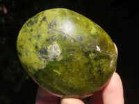 Polished Extra Large Green Opal Palm Stones  x 6 From Madagascar - TopRock