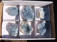 Natural Blue Celestite Crystal Specimens  x 6 From Sakoany, Madagascar - Toprock Gemstones and Minerals 