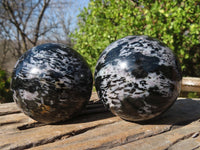 Polished Merlinite Gabbro Spheres  x 4 From Ambatondrazaka, Madagascar