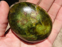 Polished Extra Large Green Opal Palm Stones  x 6 From Madagascar - TopRock