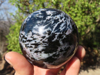 Polished Merlinite Gabbro Spheres  x 4 From Ambatondrazaka, Madagascar