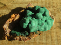 Natural Rare Ball Malachite On Drusy Quartz & Dolomite Specimens x 2 From Kambove, Congo