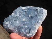 Natural Blue Celestite Crystal Specimens  x 6 From Sakoany, Madagascar - Toprock Gemstones and Minerals 